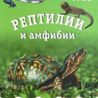 Купить Рептилии и амфибии. Наглядно-дидактическое пособие для занятий с детьми 3-7 лет в Москве по недорогой цене