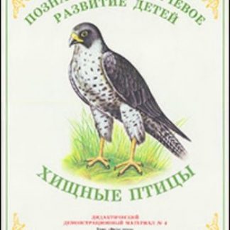 Купить Дидактический материал. Окружающий мир "Хищные птицы" в Москве по недорогой цене