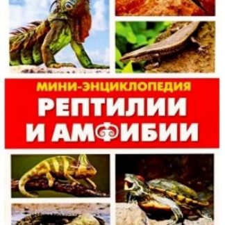 Купить Мини-энциклопедия "Рептилии и амфибии" в Москве по недорогой цене