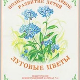 Купить Дидактический материал. Окружающий мир "Луговые цветы" в Москве по недорогой цене