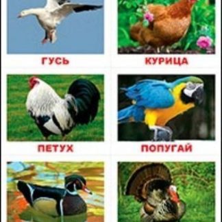 Купить Лото "Животные" в Москве по недорогой цене