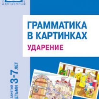 Купить Грамматика в картинках для занятий с детьми 3-7 лет. Ударение в Москве по недорогой цене
