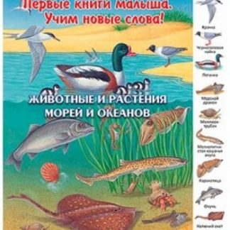 Купить Животные и растения морей и океанов. Первые книги малыша. Учим новые слова в Москве по недорогой цене