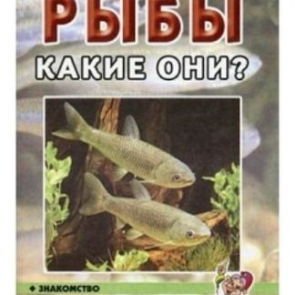 Купить Рыбы. Какие они? в Москве по недорогой цене