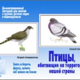 Купить Демонстрационный материал. Птицы обитающие на территории нашей страны в Москве по недорогой цене