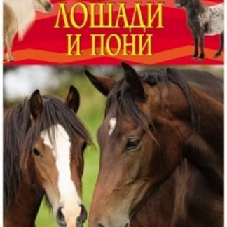 Купить Лошади и пони. Детская энциклопедия в Москве по недорогой цене