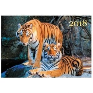 Купить Календарь настенный одноблочный "Живая планета. Тигры" 2018 в Москве по недорогой цене