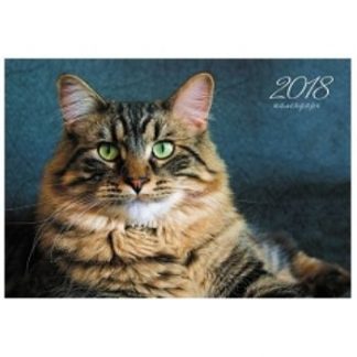 Купить Календарь настенный одноблочный "Домашние любимцы. Пушистый кот" 2018 в Москве по недорогой цене