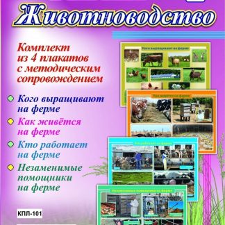 Купить Комплект плакатов "Ферма. Животноводство": 4 плаката с методическим сопровождением в Москве по недорогой цене