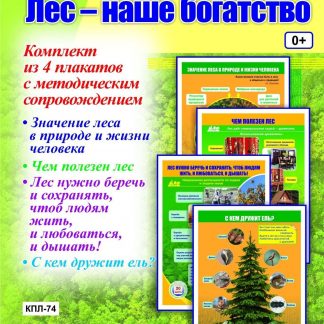 Купить Комплект плакатов "Лес - наше богатство": 4 плаката с методическим сопровождением в Москве по недорогой цене