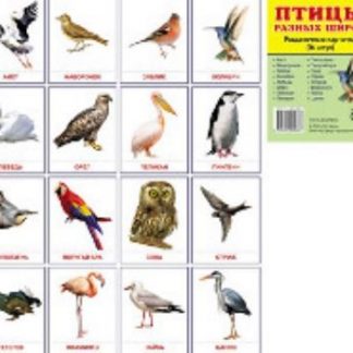 Купить Птицы разных широт. Раздаточные карточки в Москве по недорогой цене