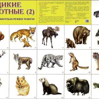 Купить Плакат "Дикие животные 2" в Москве по недорогой цене