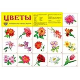 Купить Плакат "Цветы" в Москве по недорогой цене