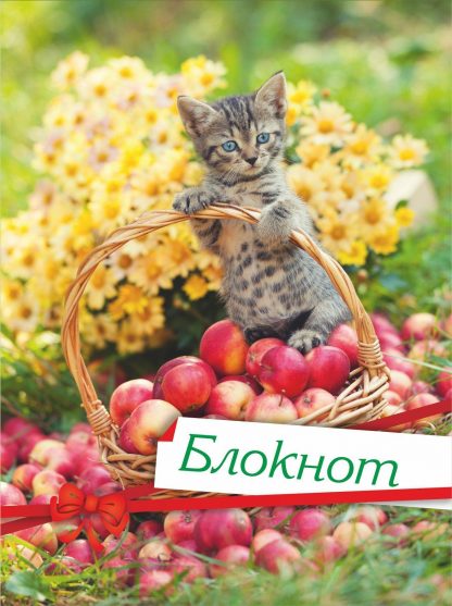 Купить Блокнот (с изображением кошки) в Москве по недорогой цене