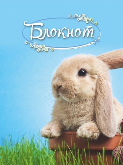 Купить Блокнот (с изображением кролика) в Москве по недорогой цене