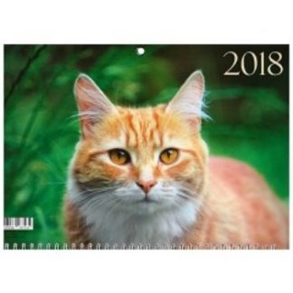 Купить Календарь настенный одноблочный "Домашние любимцы. Рыжий кот" 2018 в Москве по недорогой цене