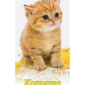 Купить Календарь настенный "Котята" 2018 в Москве по недорогой цене