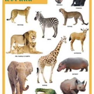 Купить Плакат "Животные Африки" в Москве по недорогой цене