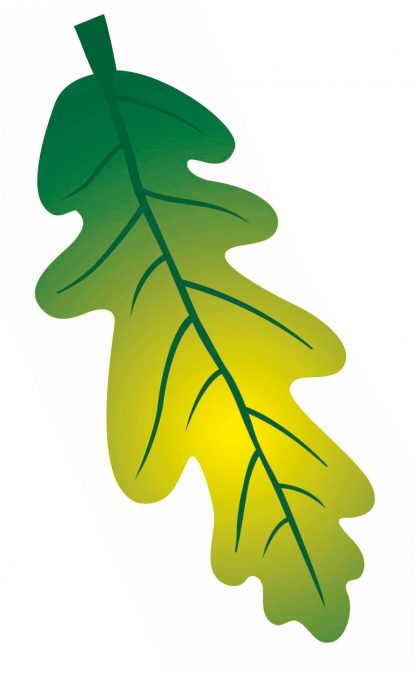 Купить Мини-плакат вырубной "Лист дуба зеленый": 144х51 мм в Москве по недорогой цене