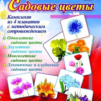 Купить Комплект плакатов "Садовые цветы": 4 плаката с методическим сопровождением в Москве по недорогой цене
