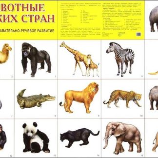 Купить Плакат "Животные жарких стран" в Москве по недорогой цене