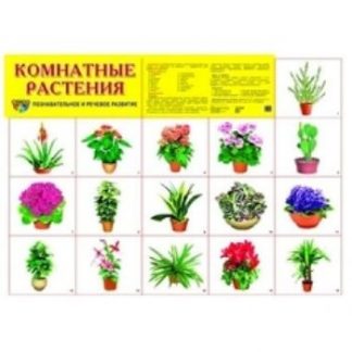 Купить Плакат "Комнатные растения" в Москве по недорогой цене