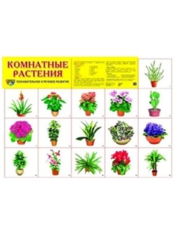 Купить Плакат "Комнатные растения" в Москве по недорогой цене
