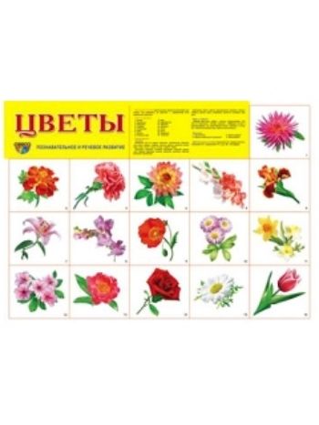 Купить Плакат "Цветы" в Москве по недорогой цене